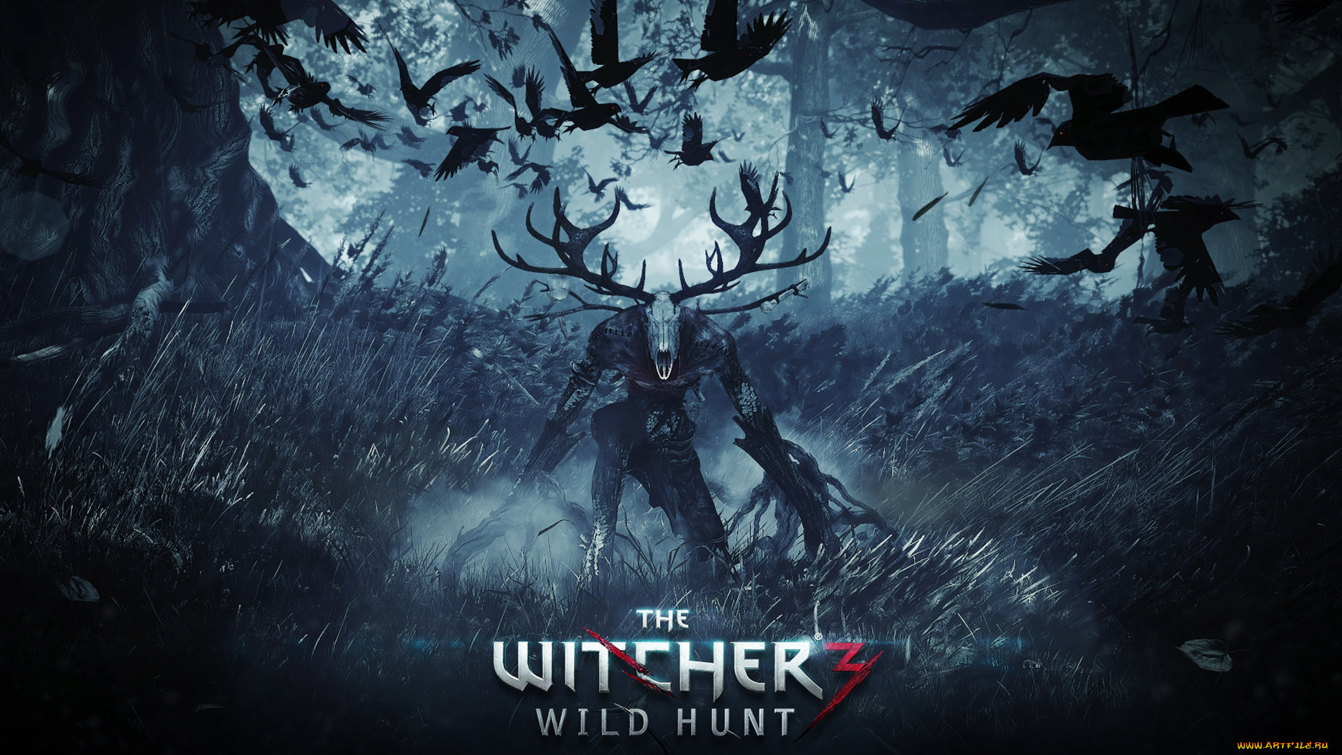 , , the, witcher, wild, hunt